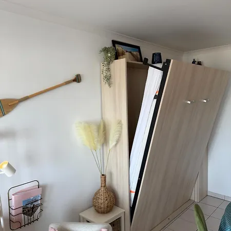 Delphine 0201 Blankenberge