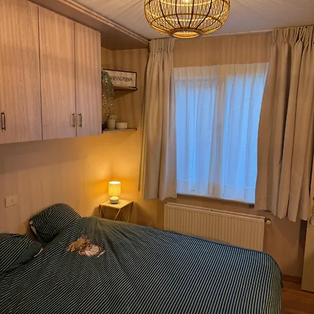 Delphine 0201 * Blankenberge